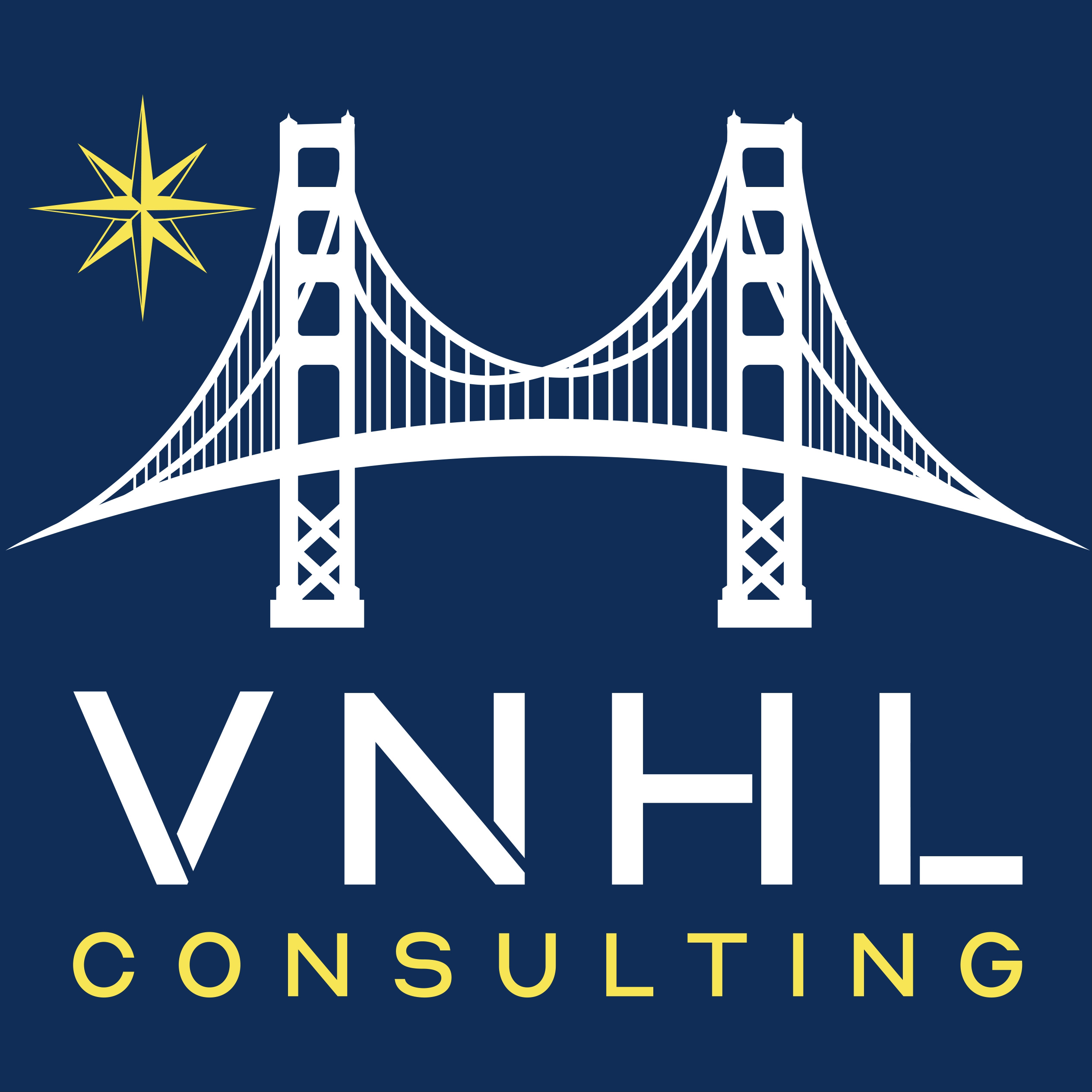 VNHL Consulting