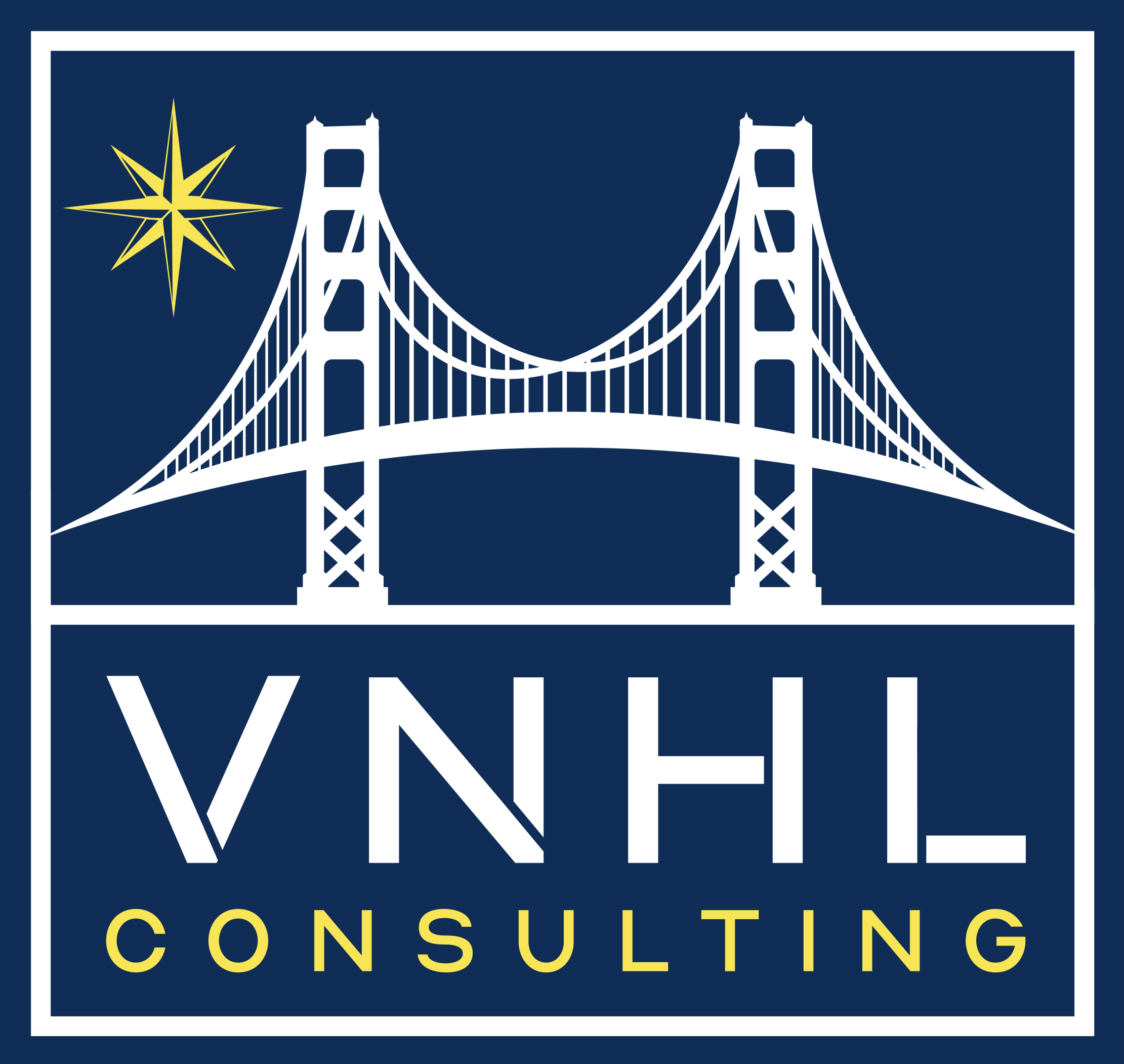 VNHL Consulting