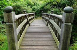 Bridge